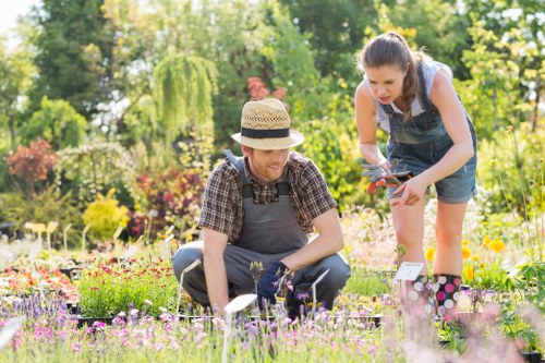 Team member setting up accessible page content for Stoke Newington lawn mowing services