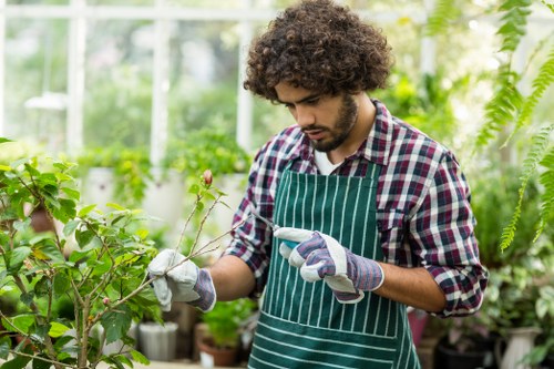 A young man with curly brown hair and a beard is working in a lush greenhouse or conservatory, surrounded by various green plants and foliage. He is wearing a plaid shirt, a green apron with white stripes, and gardening gloves. In his hands, he holds a small plant or branch, attentively inspecting or pruning it. The environment is brightly lit with natural sunlight filtering through the glass panes, highlighting the vibrant green tones of the plants. The background features a mixture of leafy plants, some potted and others growing on shelves, illustrating a well-maintained and thriving garden space. This scene reflects professional gardening and plant care activities, aligning with services offered by Lawn Mowing Stoke Newington and other outdoor garden maintenance providers in the Stoke Newington area, nurturing healthy plants and sustainable outdoor environments.