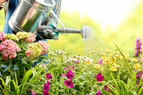A close-up view of a person watering a vibrant garden in an outdoor space, with a variety of flowering plants including pink, yellow, and purple blooms, and lush green foliage. The gardener is using a silver watering can, held with a glove, and is positioned behind the plants, focusing on their care. The garden features a mix of flower beds and leafy shrubbery, suggesting a well-maintained, landscaped yard typical of Stoke Newington gardens. The sunlight filters through the background, indicating a bright, clear day, and highlighting the natural tones of the plants. This scene reflects professional gardening and lawn care services, emphasizing a healthy, thriving garden environment in a residential area, supporting the landscape design and maintenance services offered by Lawn Mowing Stoke Newington.
